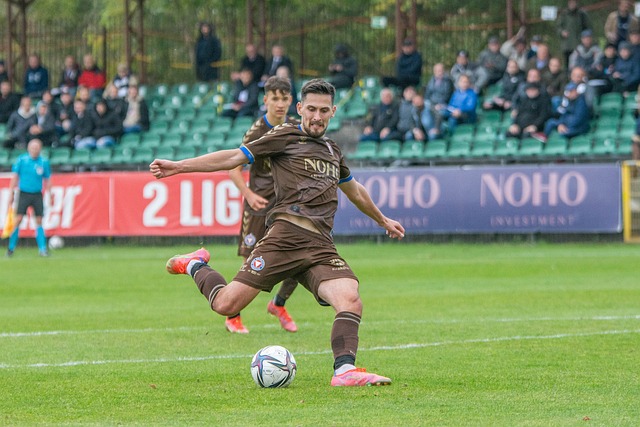 正在稳步成 正在稳步成