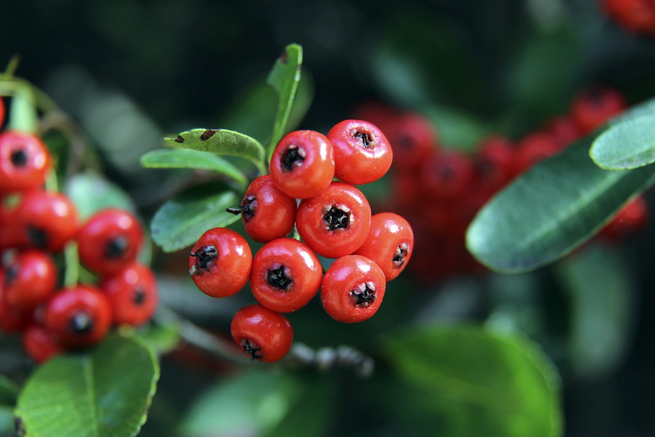 導力將有助 導力將有助