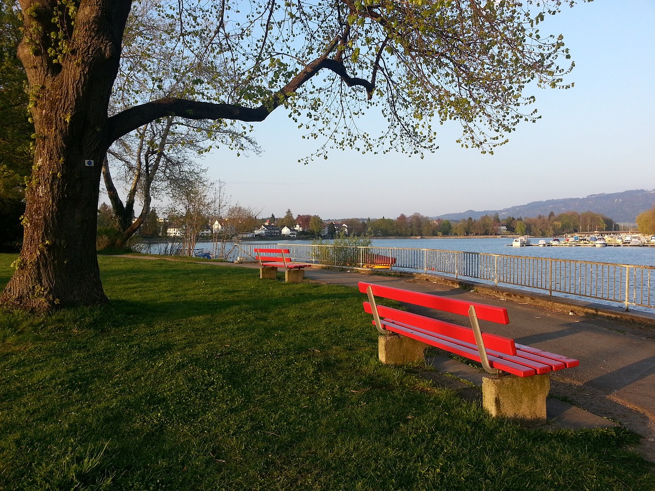 许多人都会 许多人都会