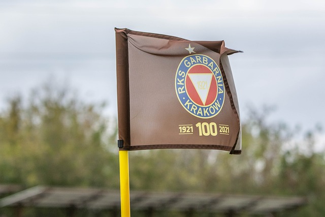 发展做出了 发展做出了