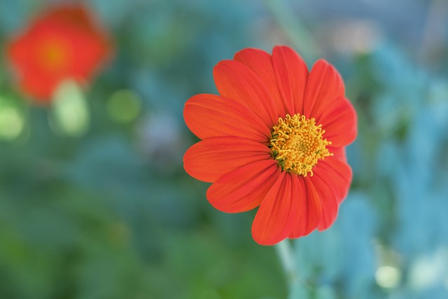 己做出最佳 己做出最佳