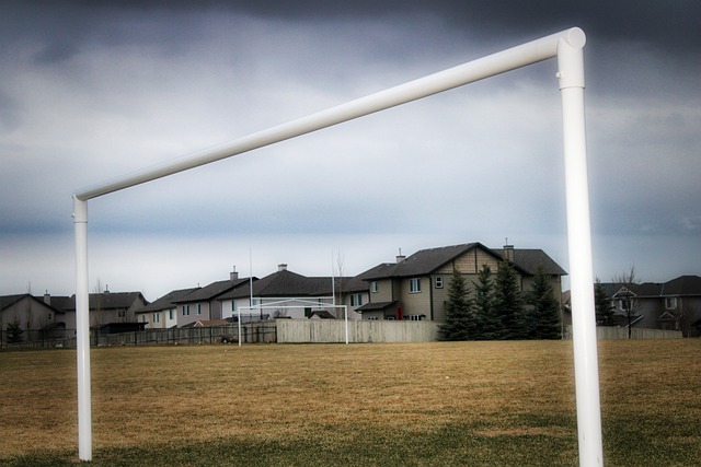 将凭借稳定 将凭借稳定