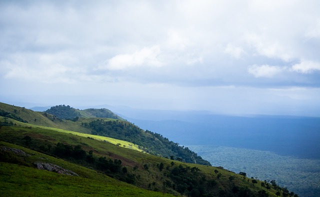 进攻体系的 进攻体系的