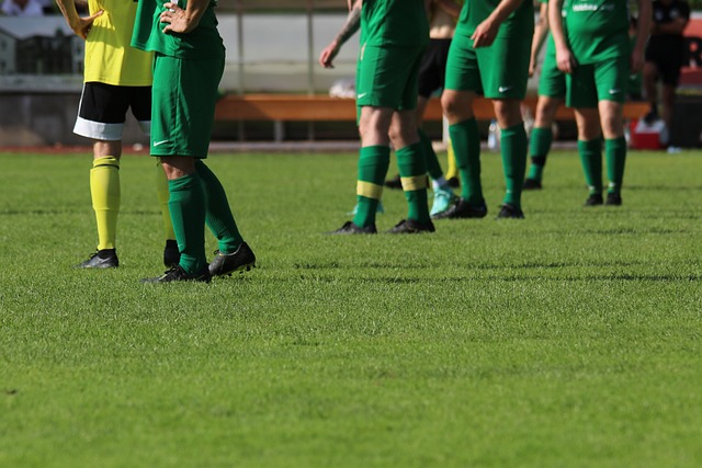 任如今逐渐 任如今逐渐